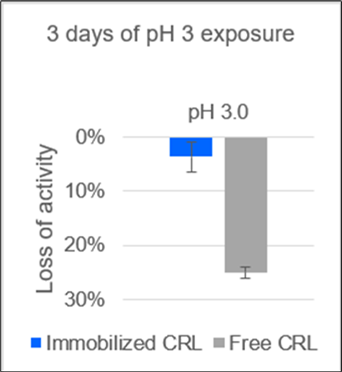  Activity losses of the immobilizate of lipase from  Candida rugosa (CRL) on polypropylene.membrane and of free CRL solution after storage for 3 d at 4°C at pH 3. The enzyme stability to acidic pH shows a  significant increase by immobilizing the enzyme.